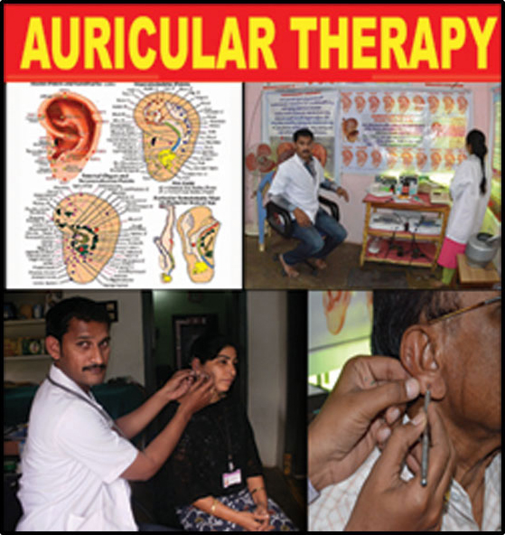 AURICULAR THERAPY Nadipathy Acupressure Health Care Centre