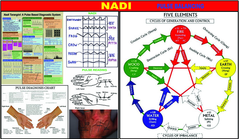 Nadi Diagnosis